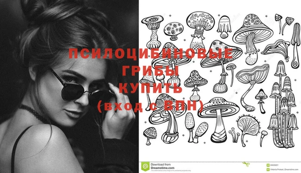 Альфа ПВП Осташков