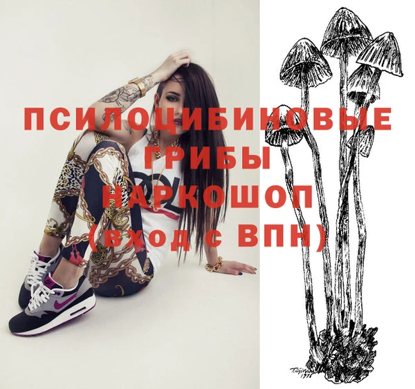 соль ск Абинск